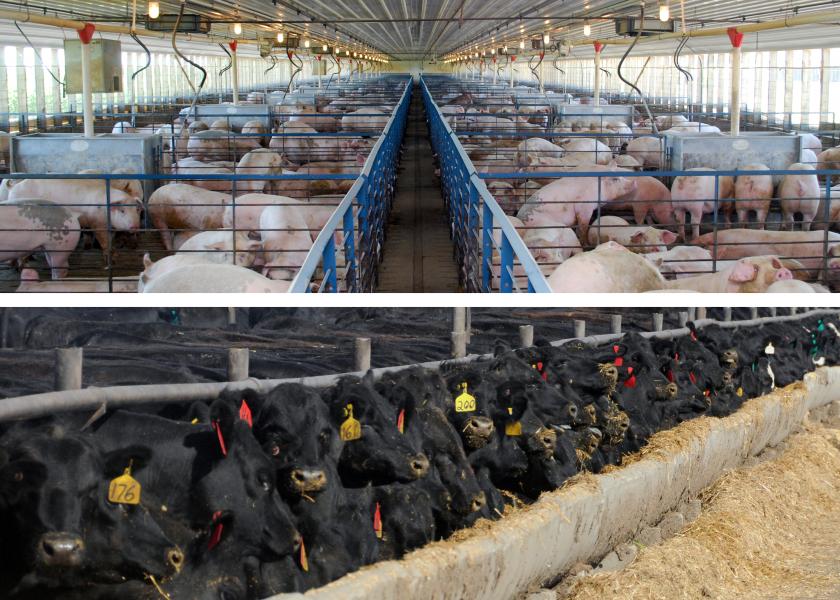 Momentum Continues for U.S. Pork Exports; Beef Exports Still Trend Lower - Vimarsana News
