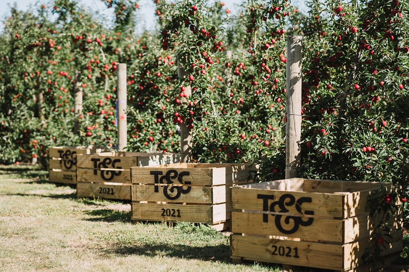 Stemilt Becomes New Envy Apple Sales Partner - Produce Market Guide