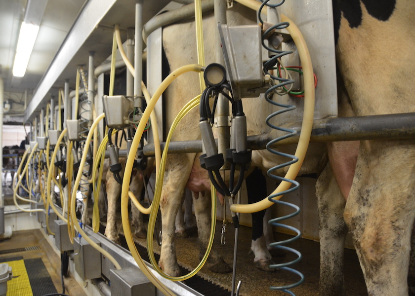 Unimpressive Usda Milk Production Report Spells Surplus In More Ways