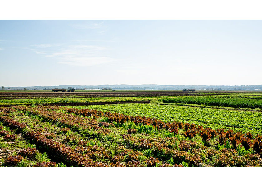 Ontario Produce Marketing Association names new president The Packer