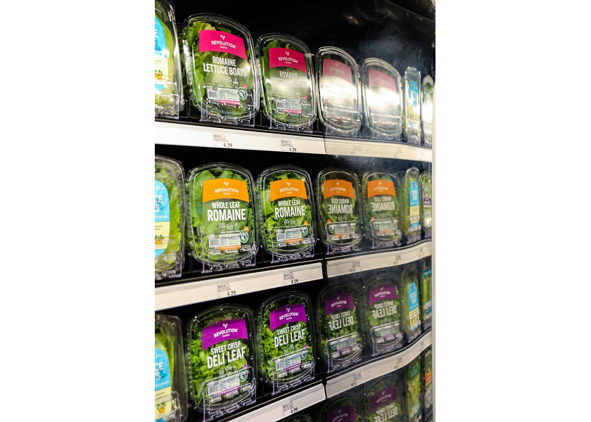 Revolution Farms recalls all lettuce for possible listeria contamination - Vimarsana News