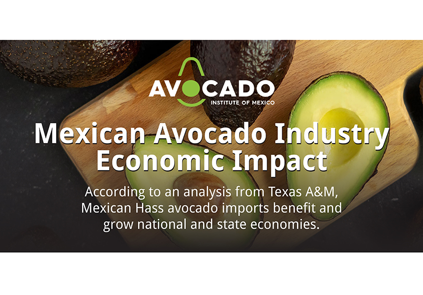 Mexican avocado imports contribute record 11.2B to U.S. economy, finds