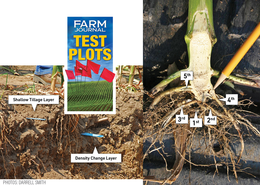 How to Combat Soil’s Silent Yield Robbers Ag