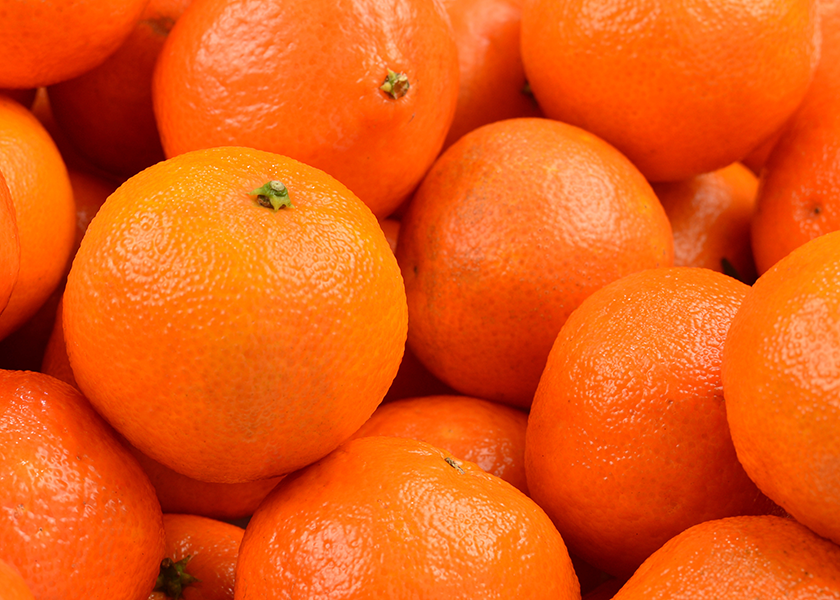 Seald Sweet looks for peak supply of Moroccan nardocott mandarins in February and March The Packer