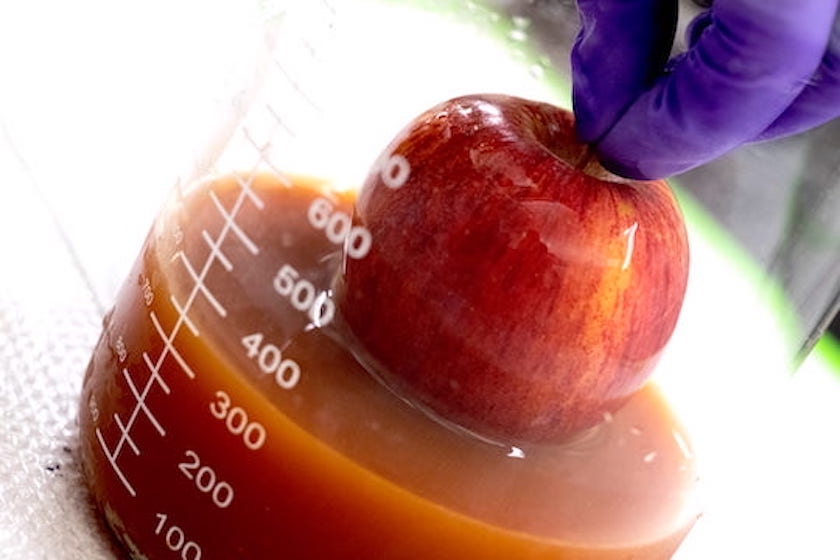 Protein-based coating could keep produce fresh and reduce waste, researcher says - Vimarsana News