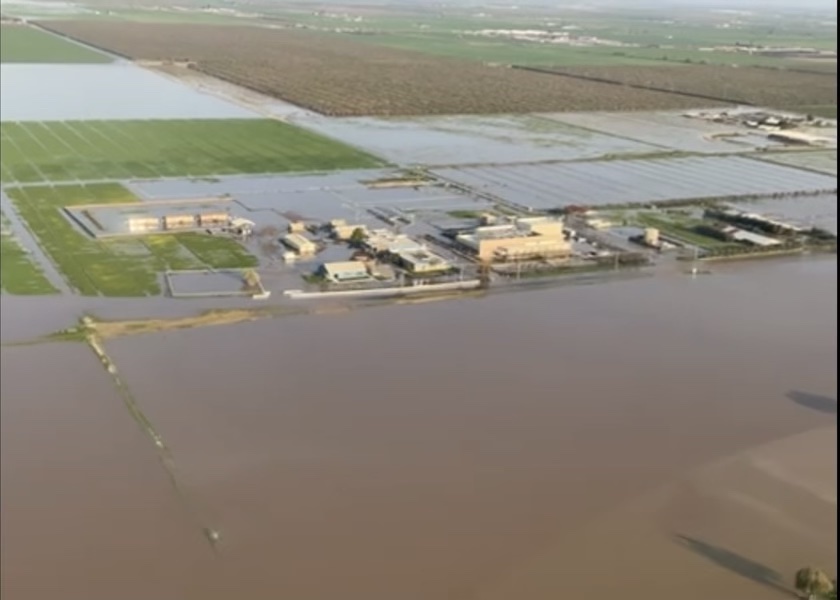 California Flooding: We Need to Protect our Cows and our People - Vimarsana News