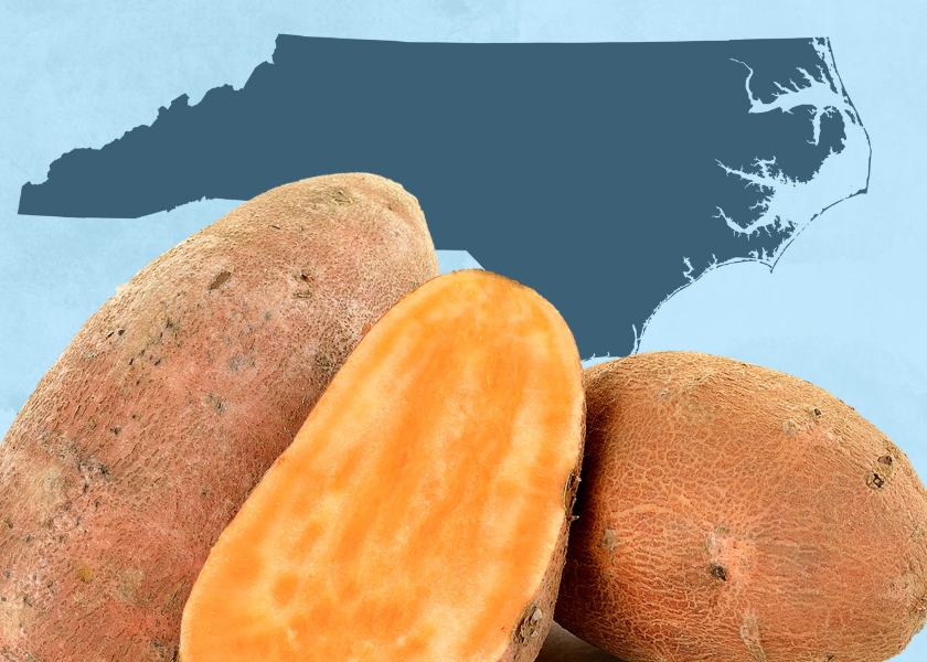 North Carolina sweet potatoes are an ideal fresh option for consumers, says commission director - Vimarsana News