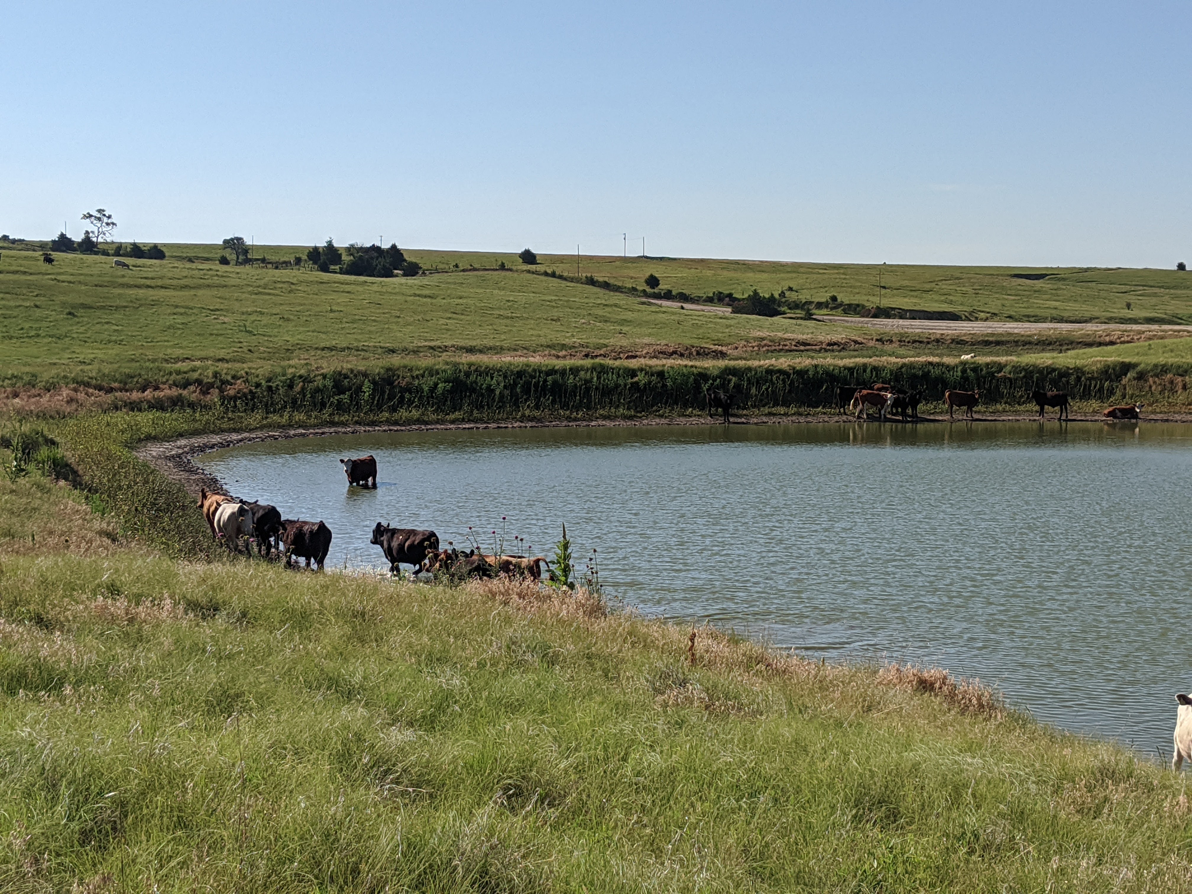 WOTUS Rule and Producers: What You Need to Know - Vimarsana News