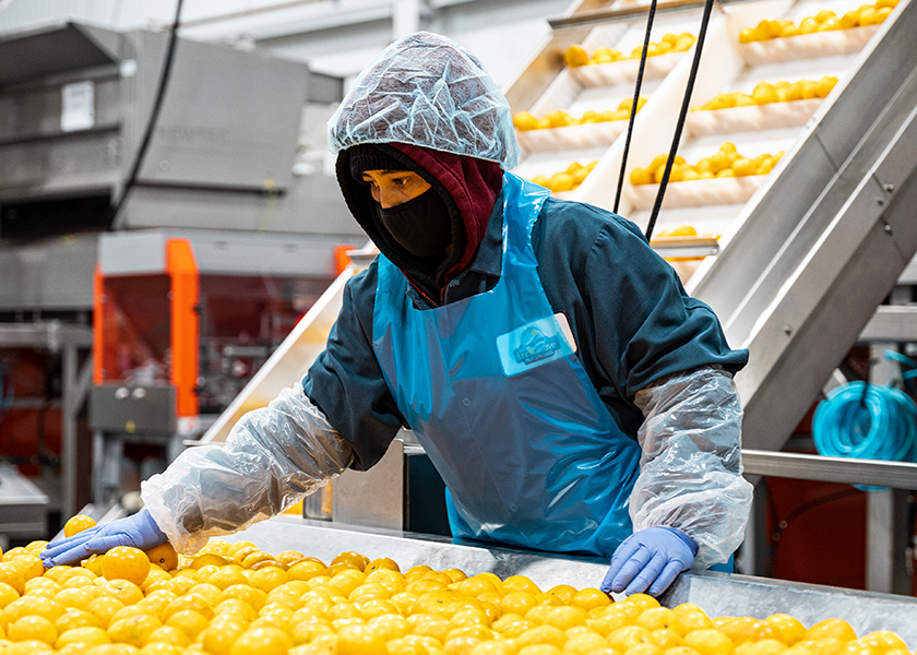 Growers see traceability as essential to food safety - Vimarsana News