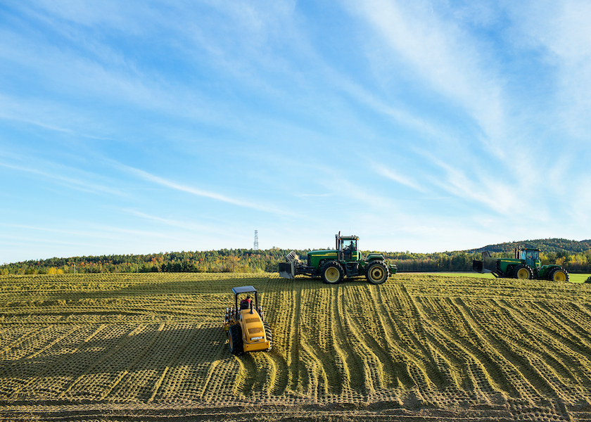 Driveover Piles Gaining Favor Dairy Herd