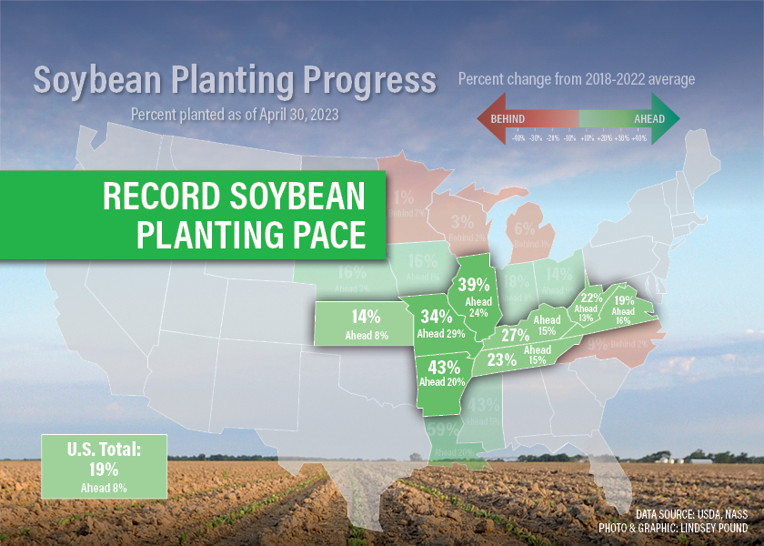 Soybean Plant Images: A Seasonal Guide