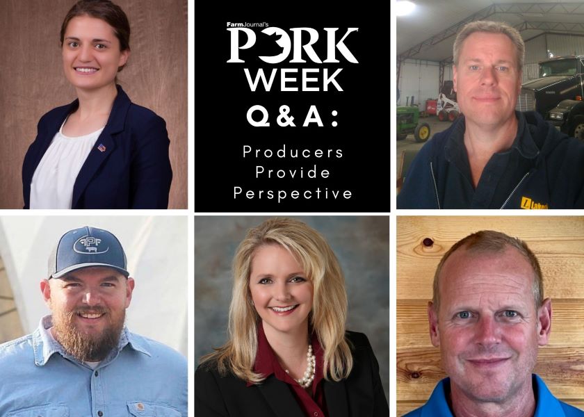 Pork Producers Provide Perspective for Lawmakers - Vimarsana News