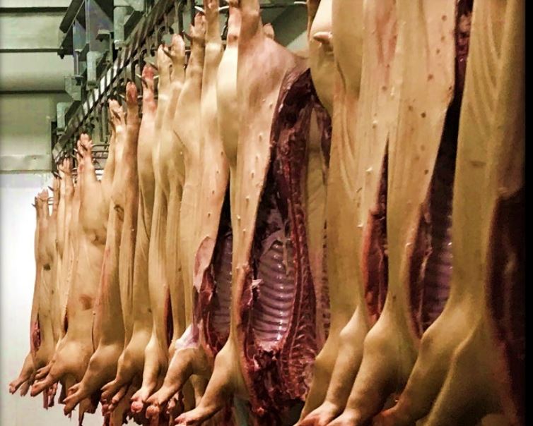Updates Announced in FSIS Guideline to Control Salmonella in Swine Slaughter and Pork Processing - Vimarsana News