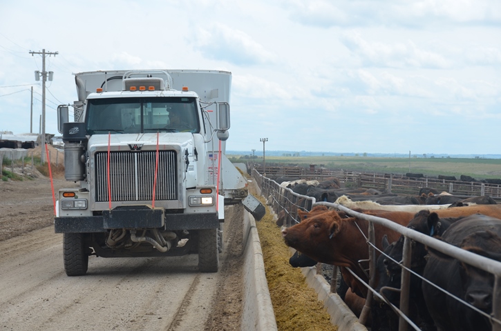 Profit Tracker: A Step Back | Drovers