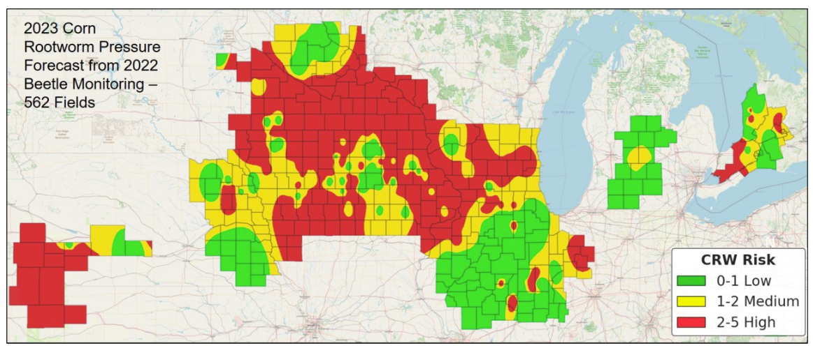 Corn Rootworm Beetle Counts Forecast Problems For 2023 | AgWeb