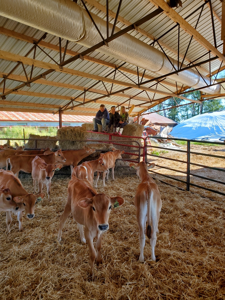 Clover Farms Focuses on Elite to Push their Operation Forward Dairy Herd