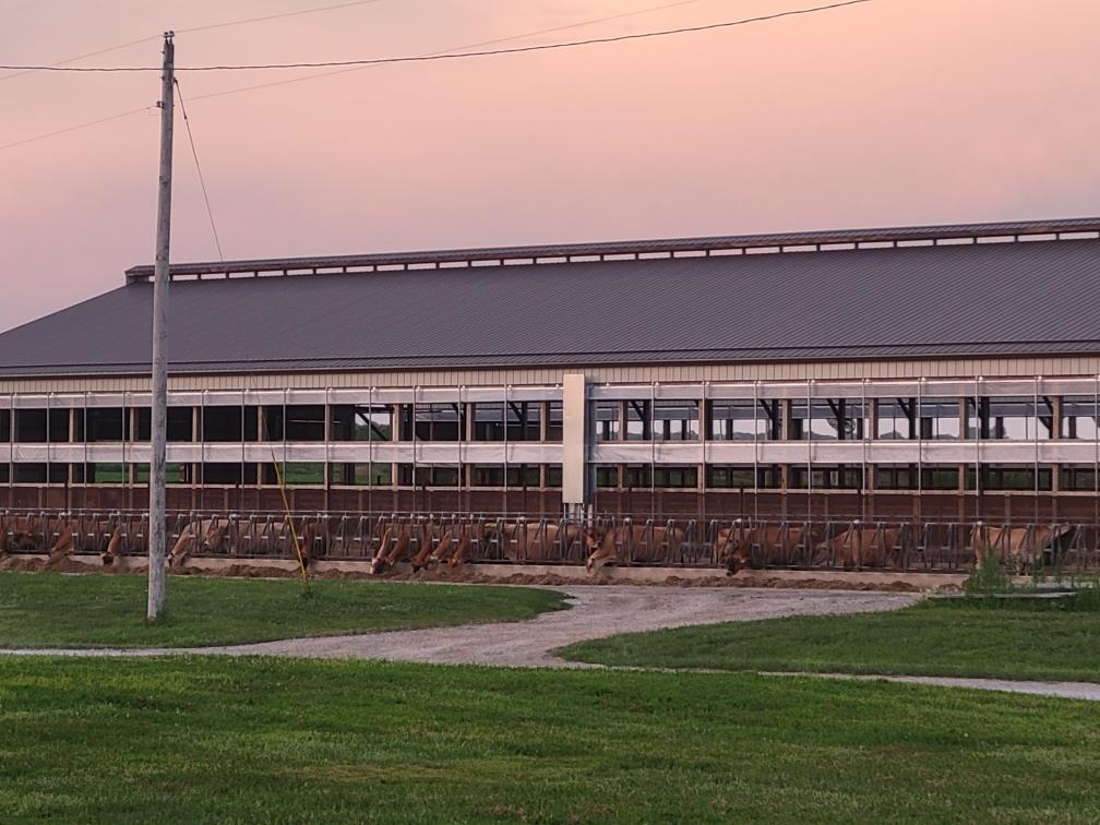 Clover Farms Focuses on Elite to Push their Operation Forward