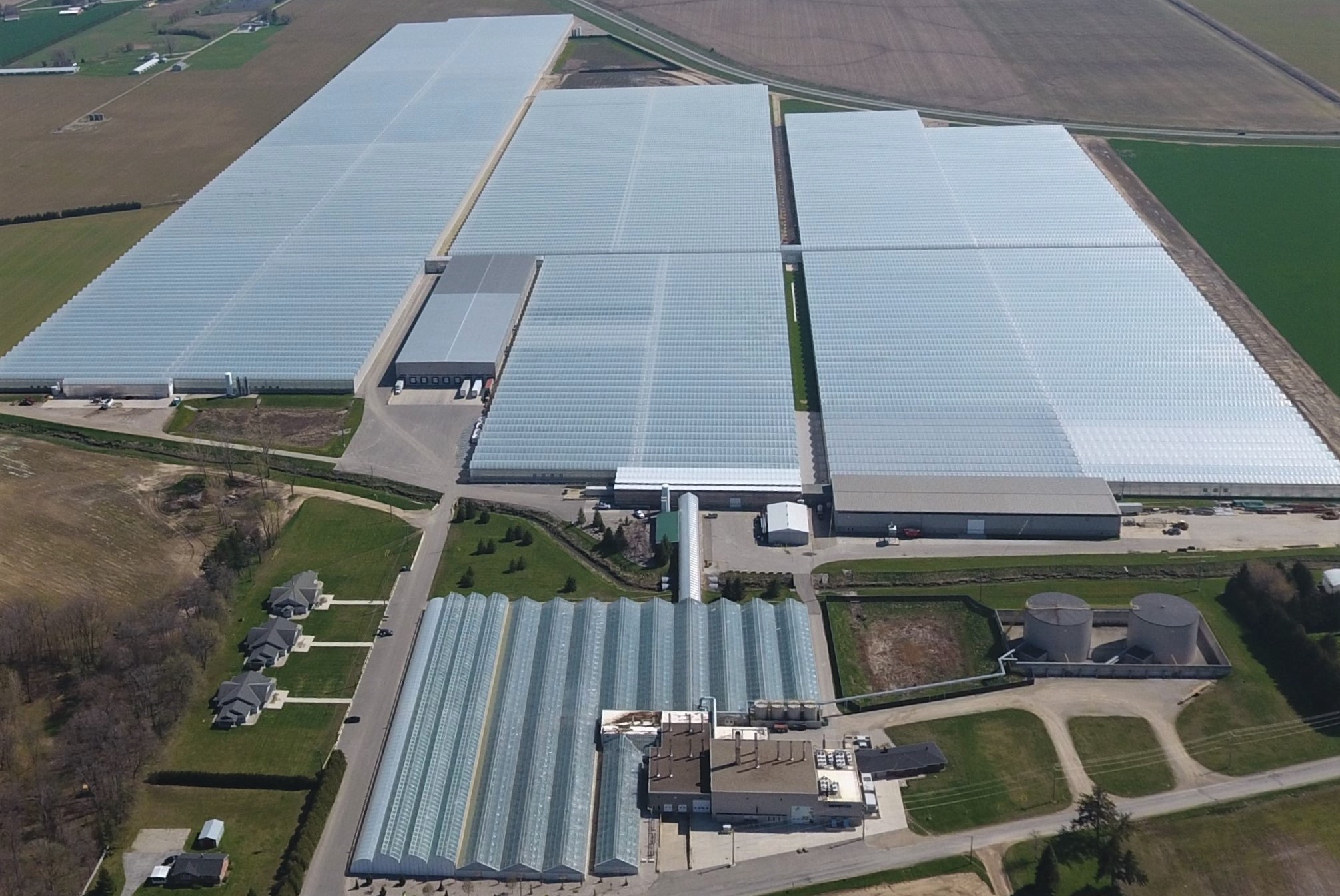 Cukes on display Great Lakes Greenhouses looks forward to CPMA debut