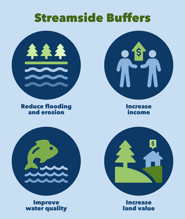 3 Steps to Planting a Tree Buffer Ag