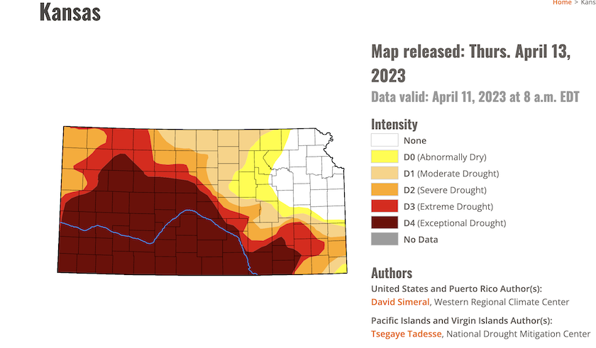 Kansas Winter Wheat Crop Crippled by Drought that Covers 80% of the State |  AgWeb
