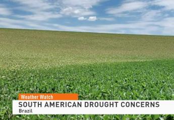 Market Analysis Agweb