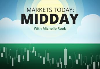 Market Analysis Agweb