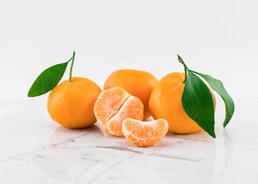 Mandarins continue to nudge navel oranges The Packer