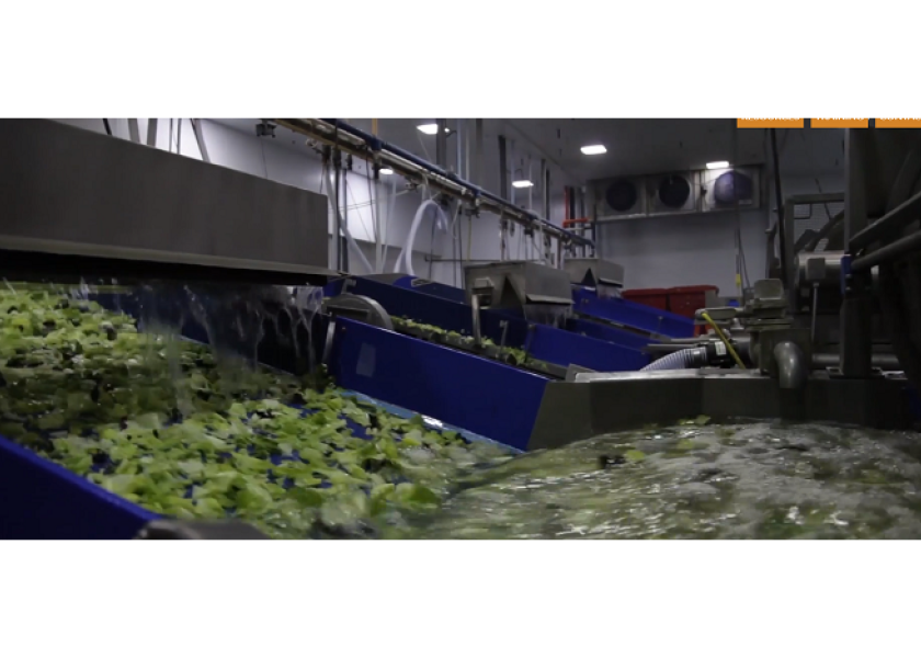 SmartWash Solutions’ Boost reduces E. coli risks on lettuce The Packer