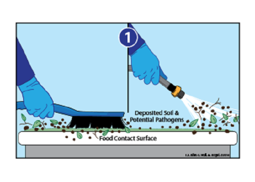 Cleaning vs. sanitization — and why it matters The Packer