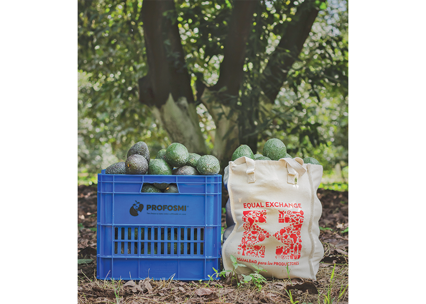 Organic avocado supplies from Mexico increase The Packer