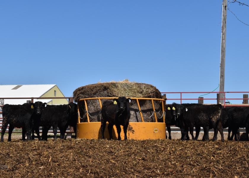 Hay Feeder Design to Reduce Hay Waste Drovers