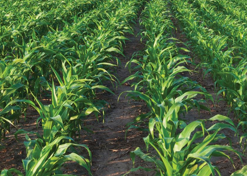 The Center for Biological Diversity (CBD) filed a lawsuit on Wednesday to “challenge the EPA’s fuel volume requirements for corn ethanol and other biofuels” for 2020, 2021 and 2022, according to CBD’s press release.