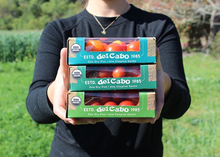 Jacobs Farm Del Cabo Launches Paper based Clamshells Produce Market Guide jacobs-farm-del-cabo-launches-paper-based-clamshells-produce-market-guide
