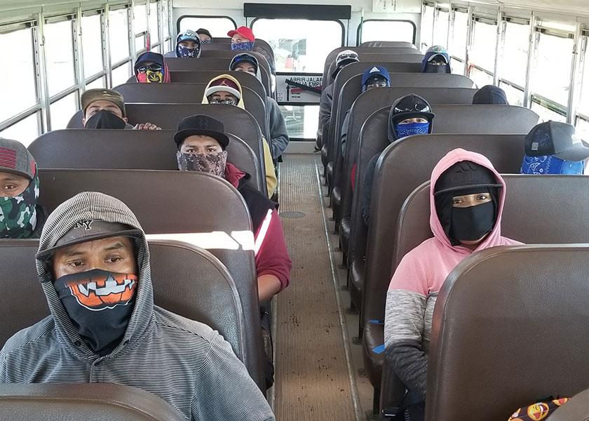 H2A program helps growers navigate labor shortage The Packer