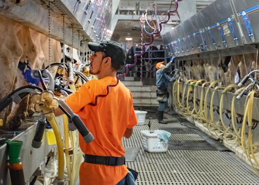 Teat Dipping The Core to Milk Quality Dairy Herd