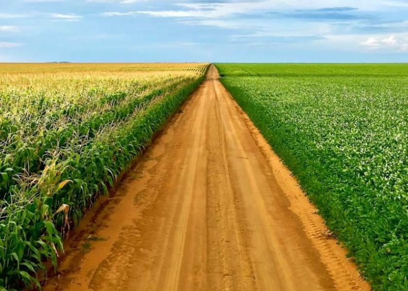 Land pros survey marks staggering gains in Illinois farmland values.
