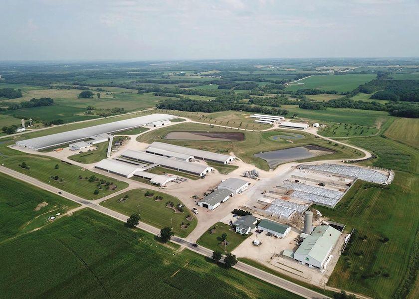 Larson Acres Leans on Genomics to Make Progress Dairy Herd