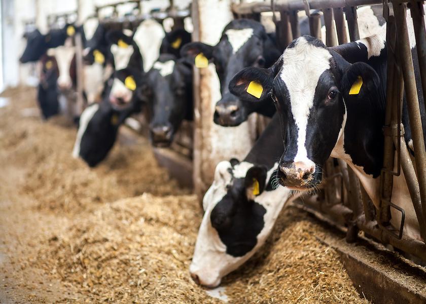 2023 DMC Enrollment Now Open Dairy Herd 2023-dmc-enrollment-now-open-dairy-herd