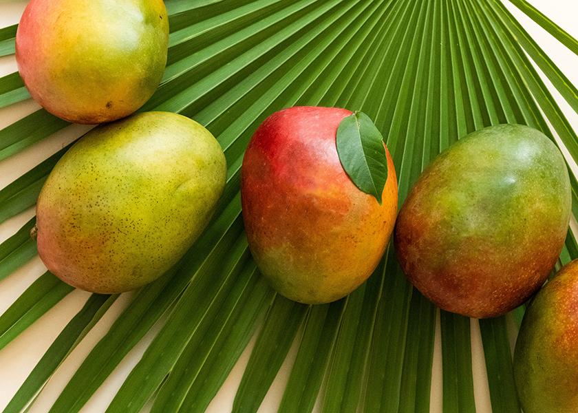 Positioning can make ‘Cinco de Mango’ a retail success The Packer