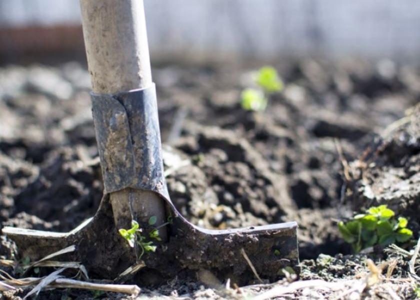 Want to Get Out of the Hole? Stop Digging Pork Business