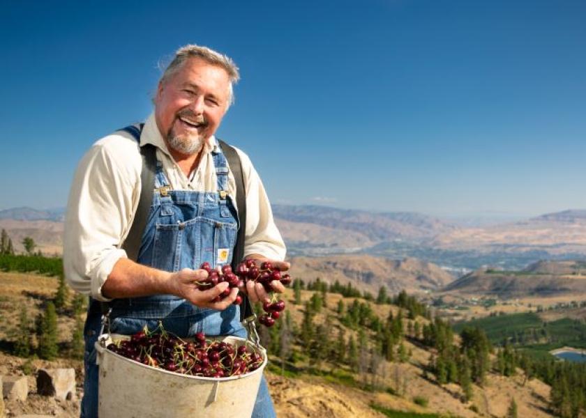 Stemilt Growers promotes lateseason Moon cherries The Packer
