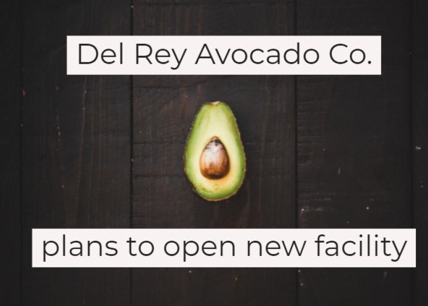 Del Rey Avocado plans to open new facility The Packer