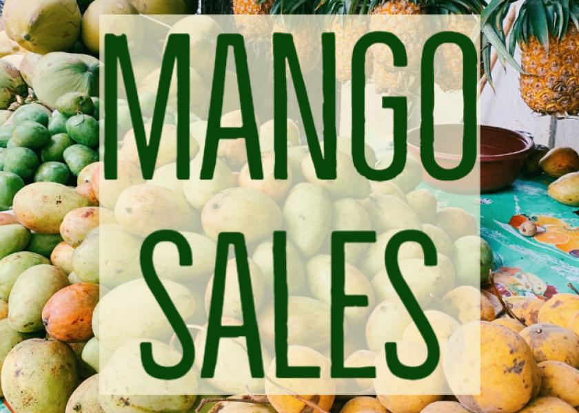 Retail mango sales grow The Packer