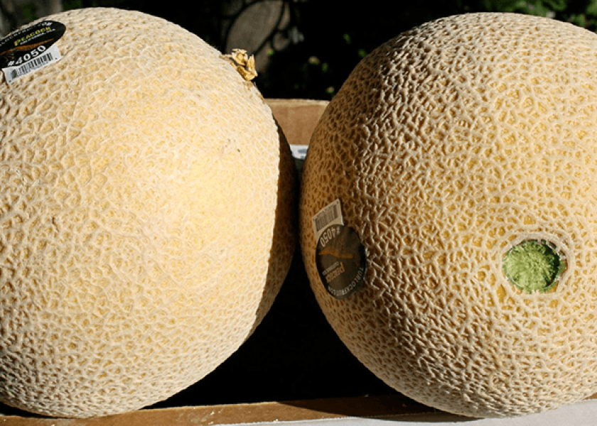 Turlock Fruit Co. celebrates 100 years with realcantaloupes The Packer