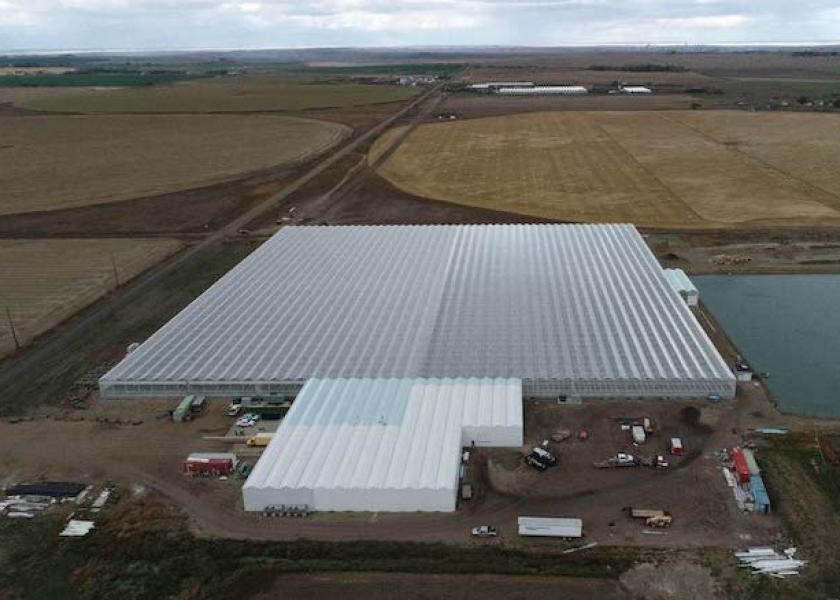 Expanded greenhouse ships Frank & Able tomatoes for Canadian winter