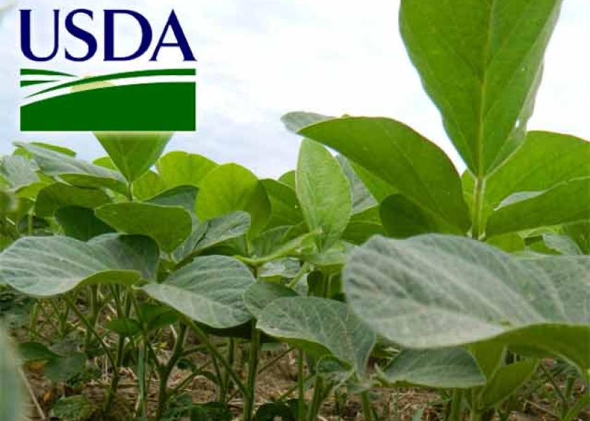 Here's Why USDA's 65-Million-Bushel Cut to Soybean Exports is Stirring Debate